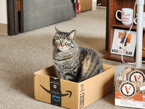Missy Amazon Box.jpg